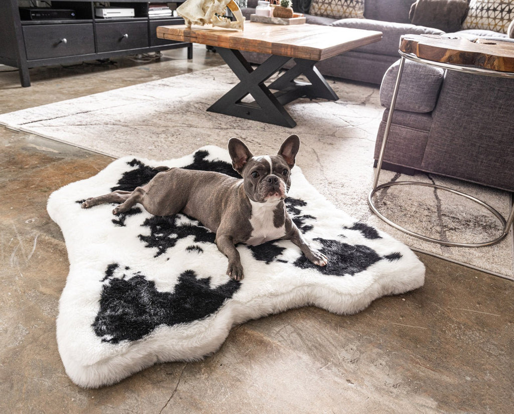 PupRug™ Junior Memory Foam Bed + Matching Waterproof Blanket Bundle - Black Faux Cowhide