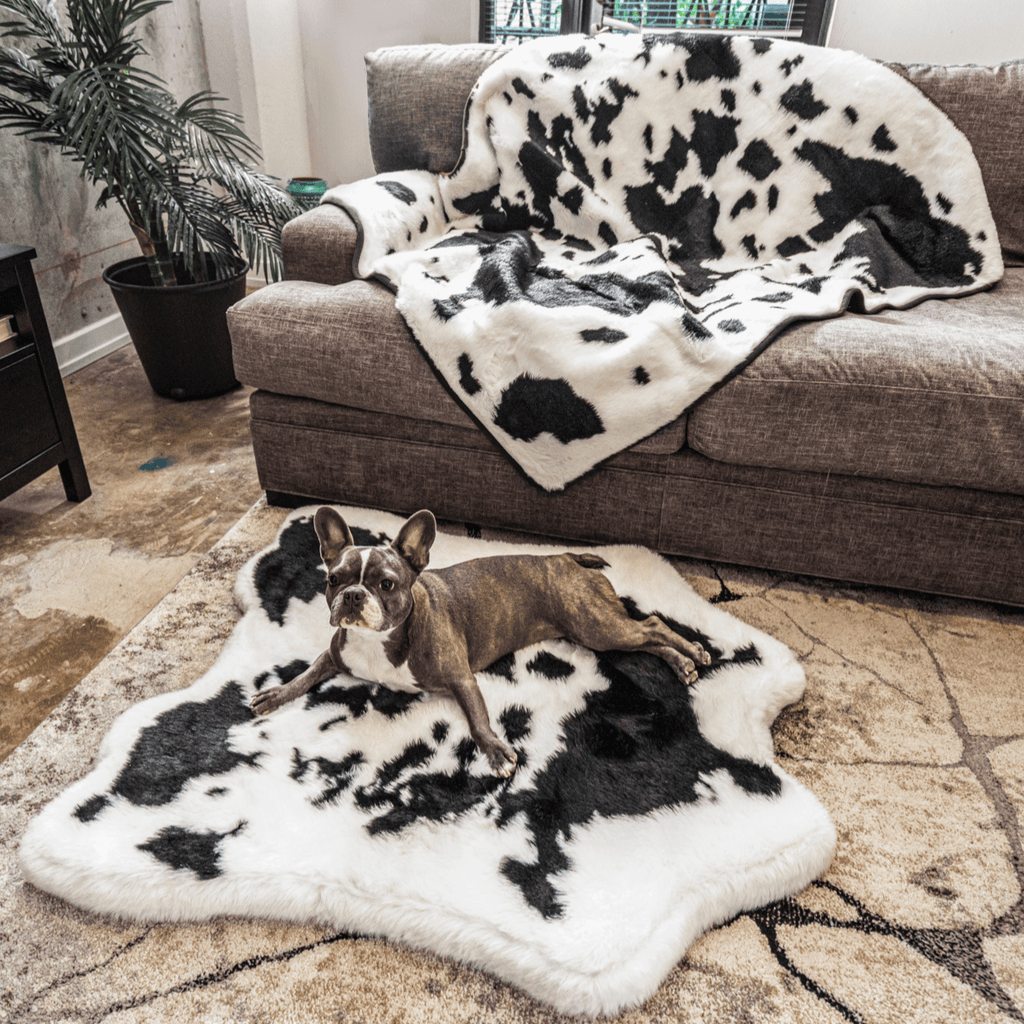 PupRug™ Junior Memory Foam Bed + Matching Waterproof Blanket Bundle - Black Faux Cowhide
