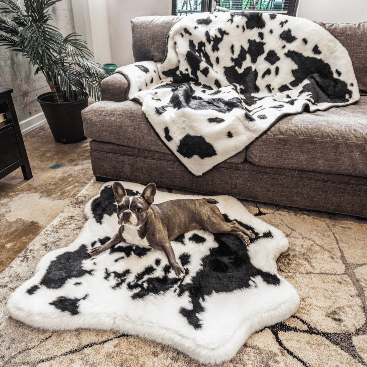 PupRug™ Junior Memory Foam Bed + Matching Waterproof Blanket Bundle - Black Faux Cowhide