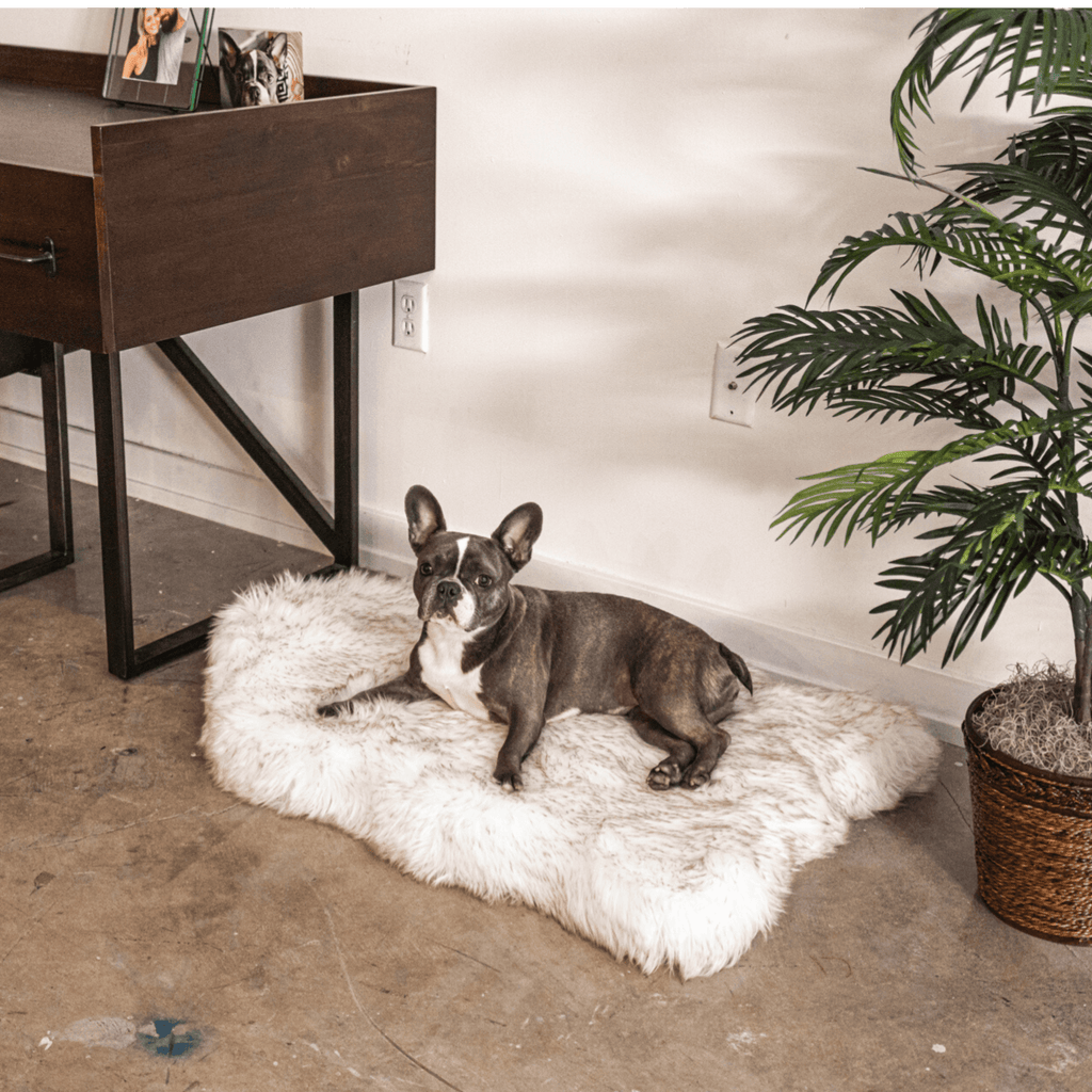 Paw.com x BarkBox PupRug™ Faux Fur Orthopedic Dog Bed - White with Brown Accents