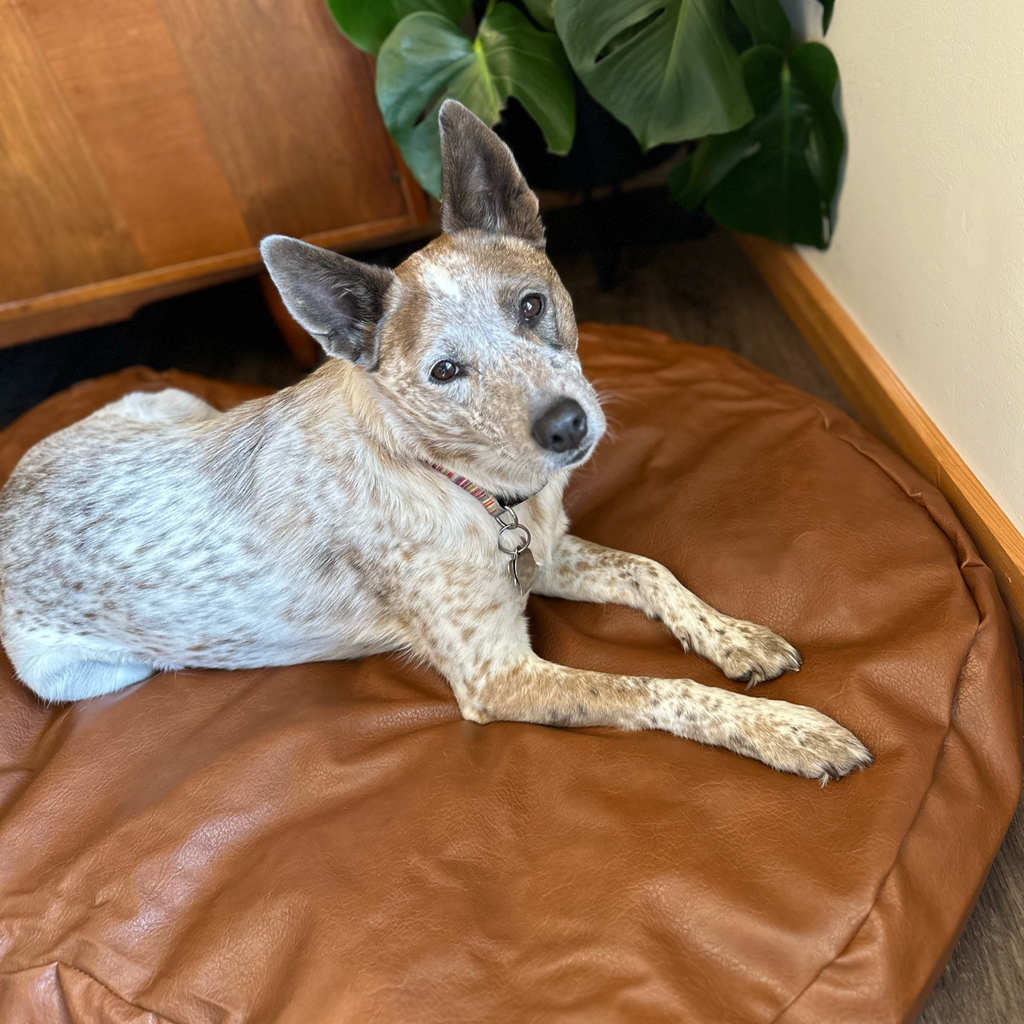PupCloud™ Faux Leather Memory Foam Dog Bed - Bourbon