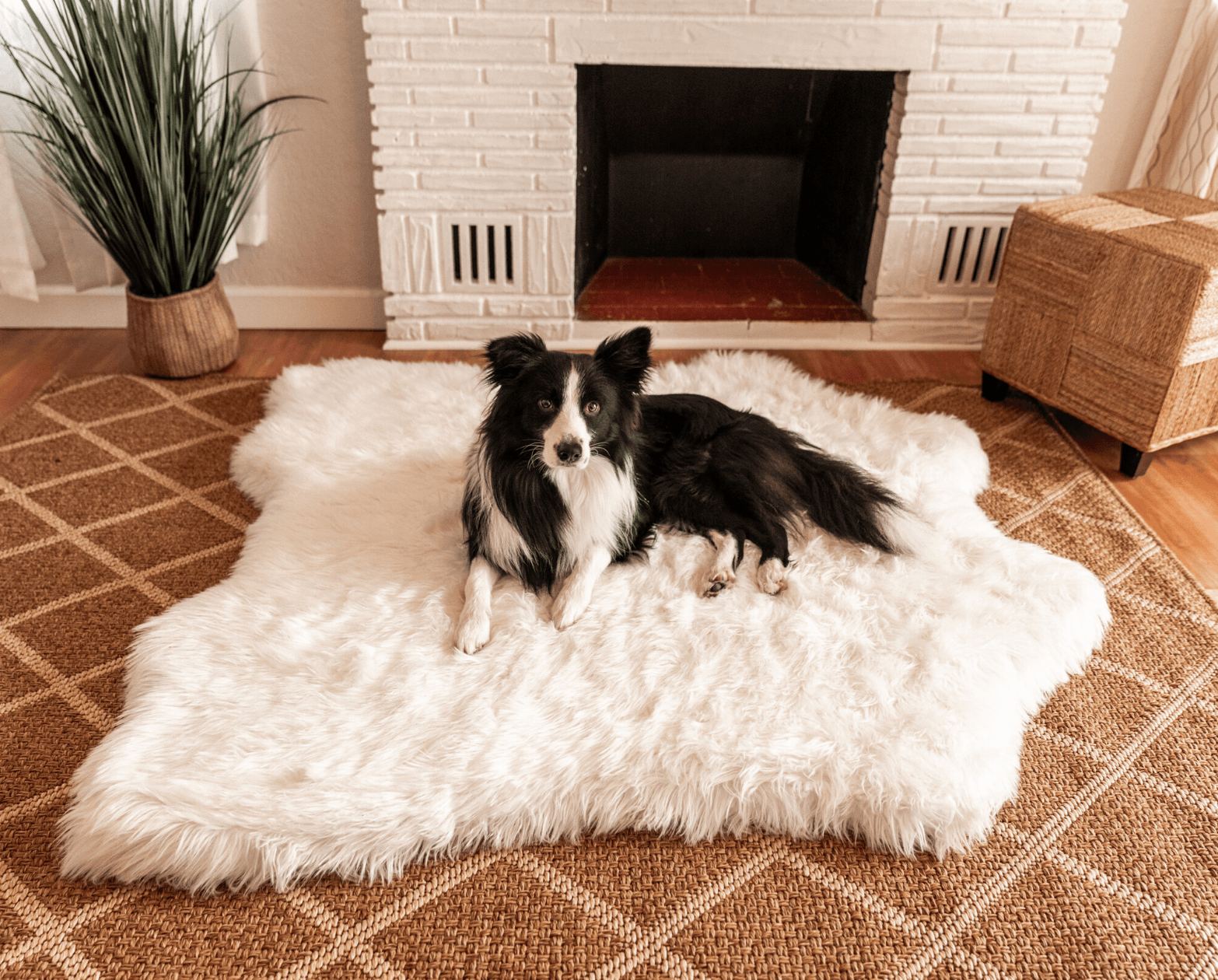 PupRug™ Memory Foam Bed + Matching Waterproof Blanket Bundle - Polar Bear Faux Hide