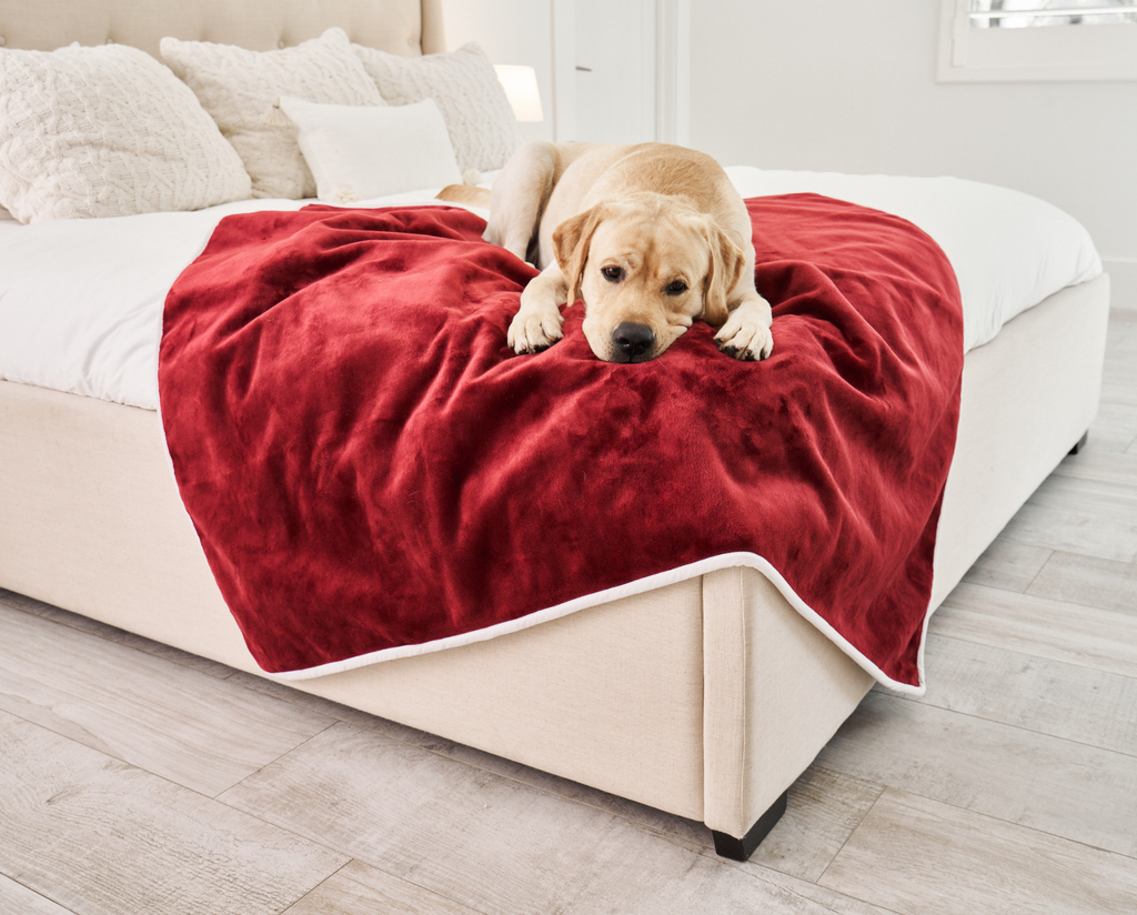 FREE Velvet PupProtector™ Waterproof Throw Blanket with $100+ Purchase