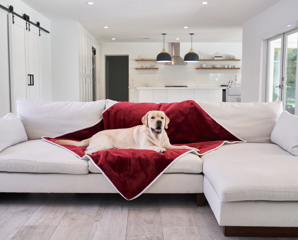 FREE Velvet PupProtector™ Waterproof Throw Blanket with $100+ Purchase