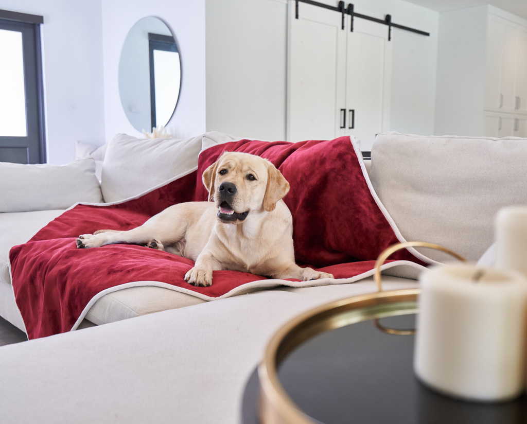 FREE Velvet PupProtector™ Waterproof Throw Blanket with $100+ Purchase