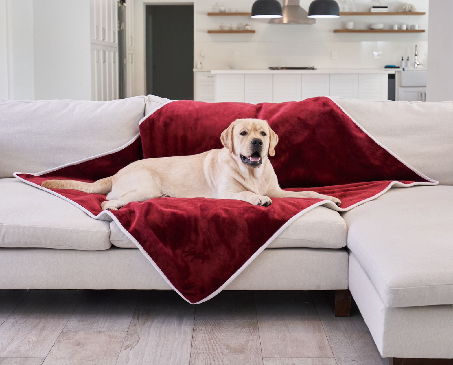 FREE Velvet PupProtector™ Waterproof Throw Blanket with $100+ Purchase