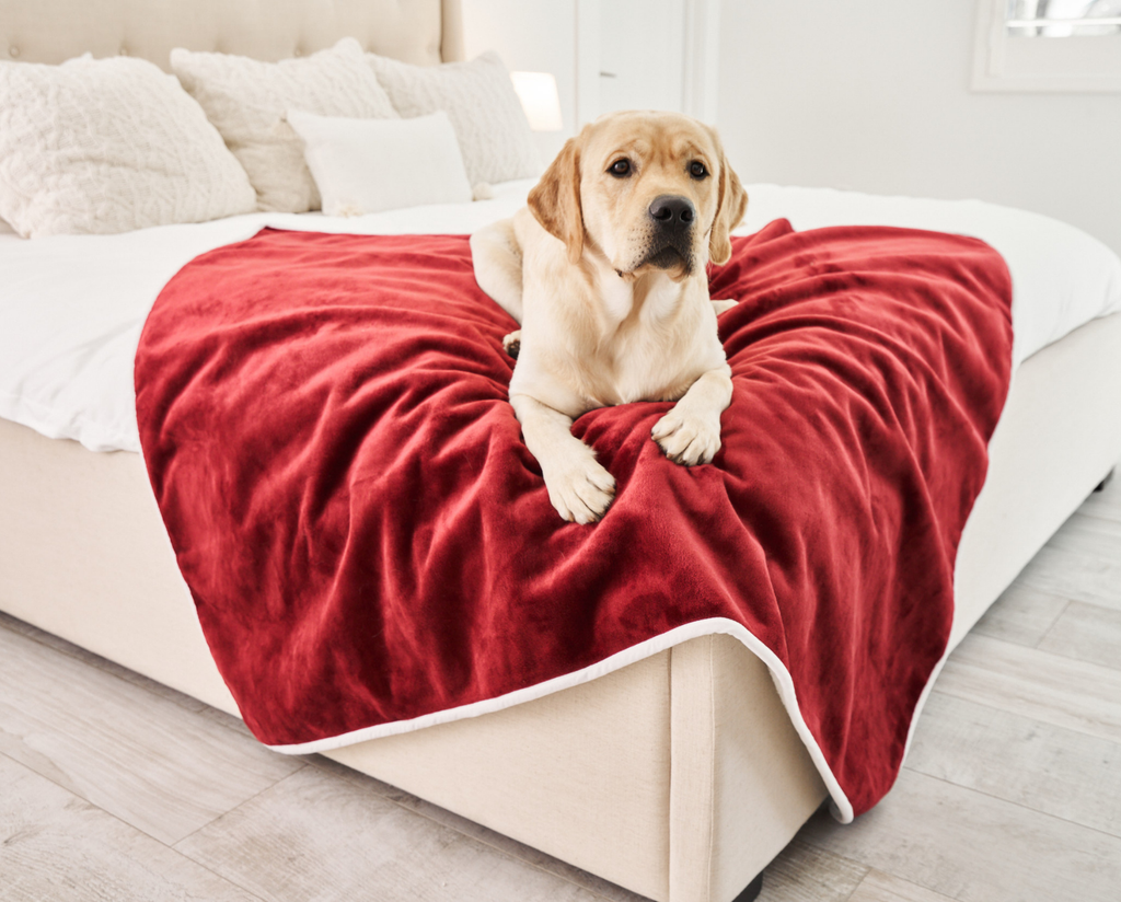 FREE Velvet PupProtector™ Waterproof Throw Blanket with $100+ Purchase