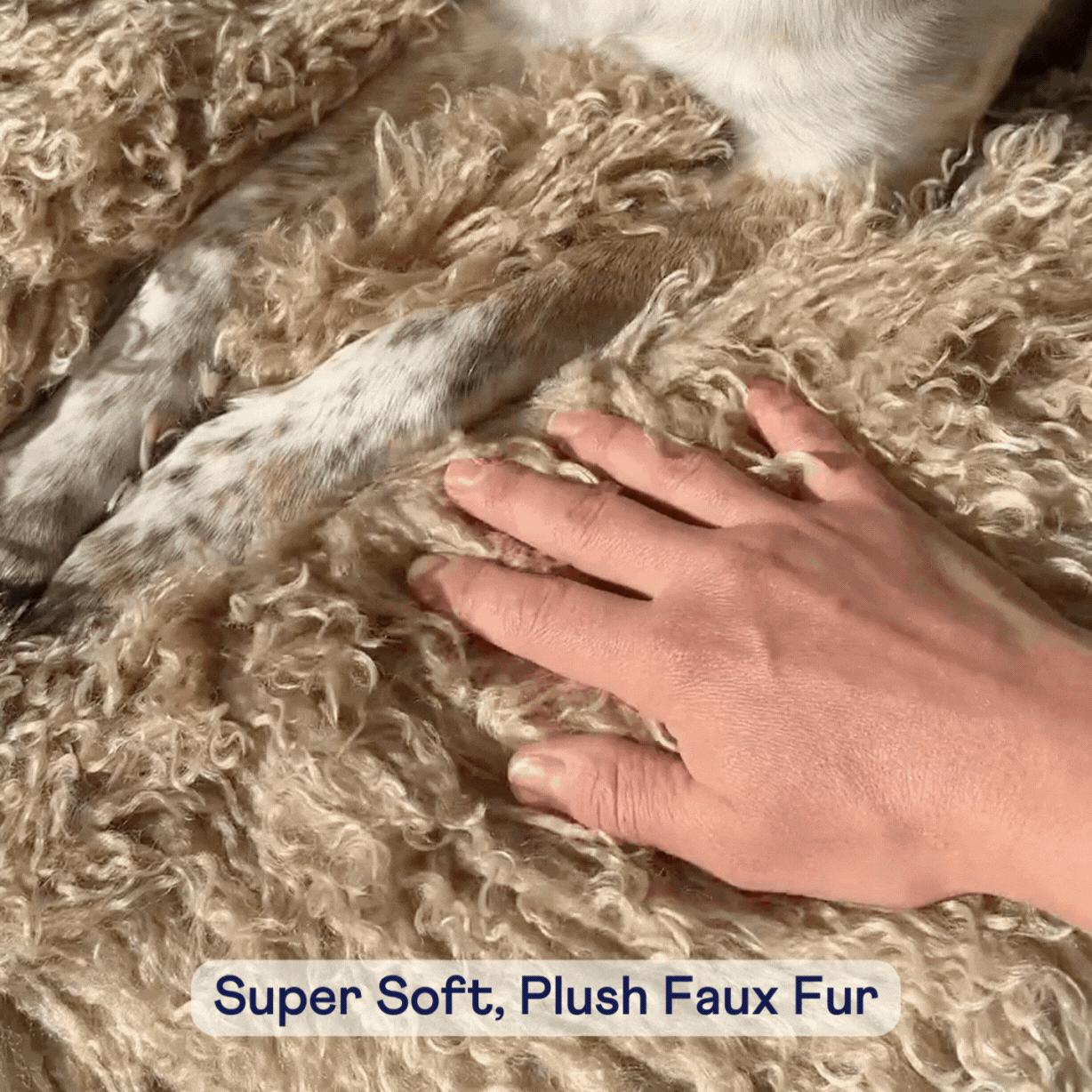 PupProtector™ Luxe Waterproof Faux Fur Blanket - Plush Sheep