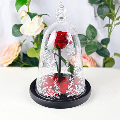 Beauty and the Beast Rose in Glass with Lights, for Christmas Valentine's Day