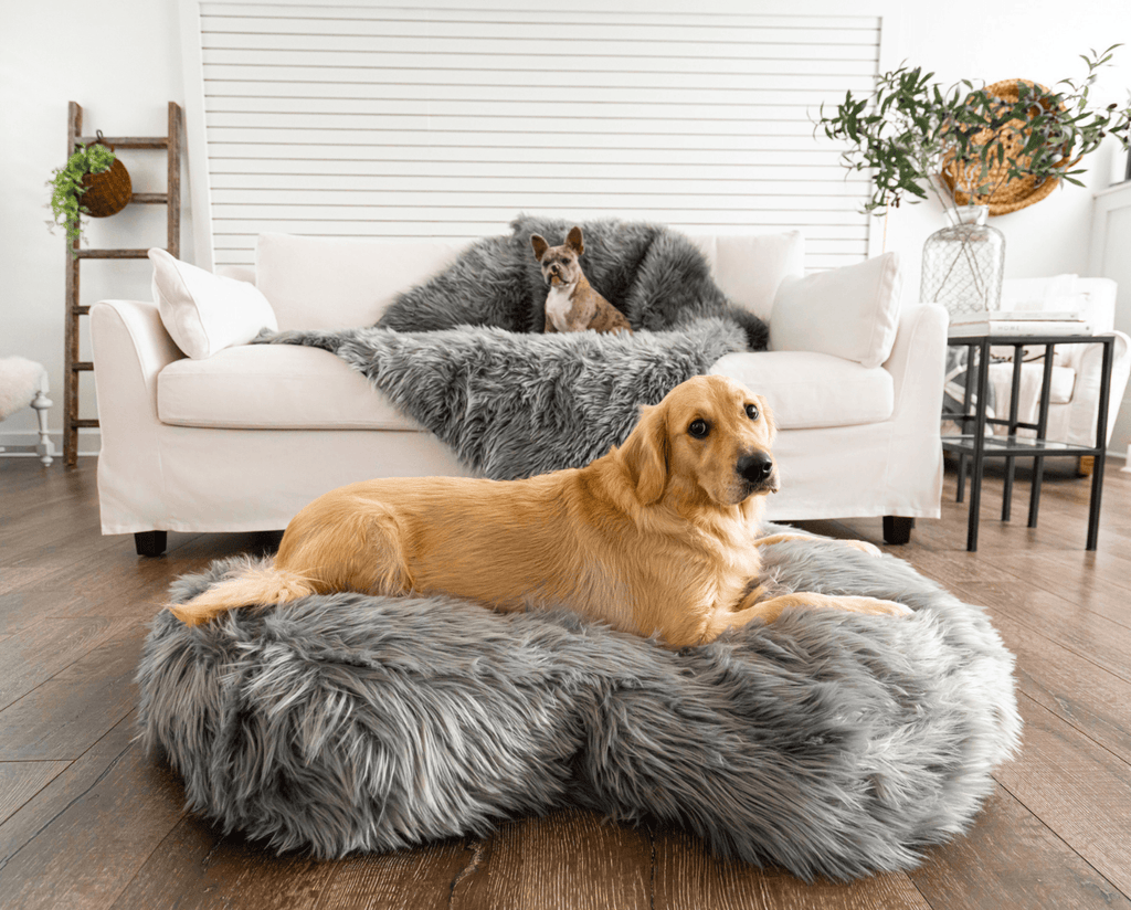 PupCloud™ Memory Foam Bed + Matching Waterproof Blanket Bundle - Charcoal Grey