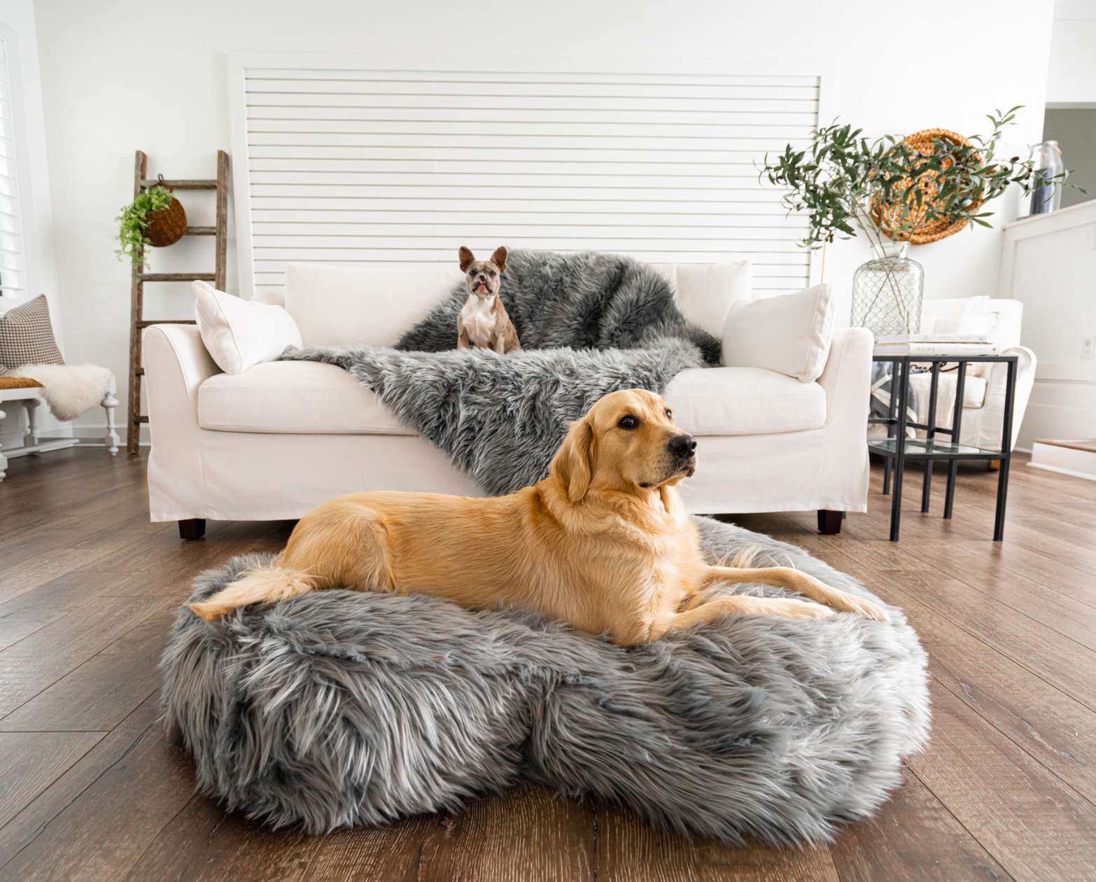 PupCloud™ Memory Foam Bed + Matching Waterproof Blanket Bundle - Charcoal Grey