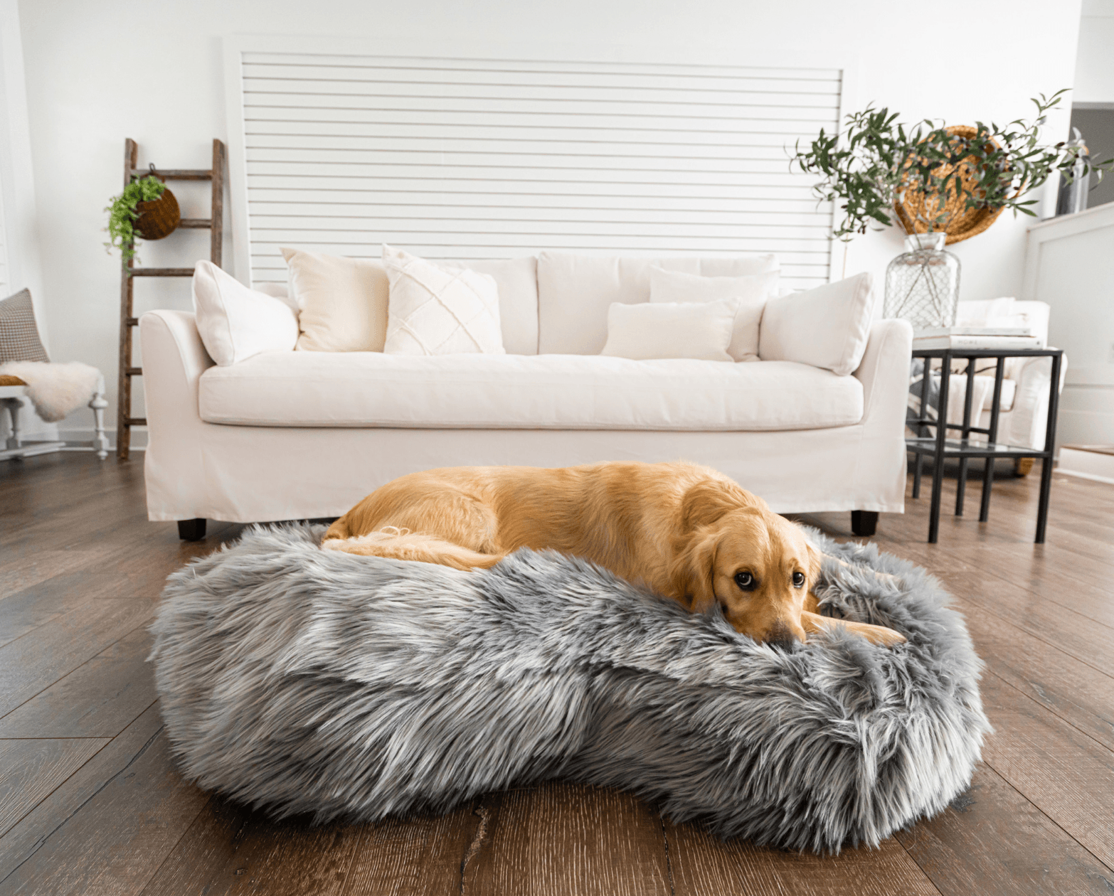 PupCloud™ Faux Fur Memory Foam Dog Bed - Curve Charcoal Grey