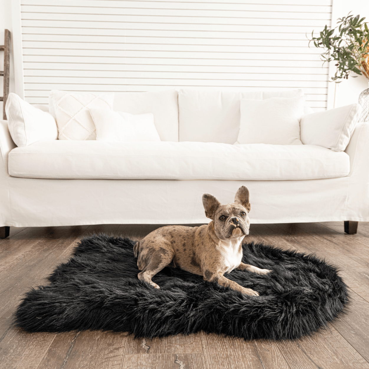 Paw.com x BarkBox PupRug™  Faux Fur Orthopedic Dog Bed - Midnight Black