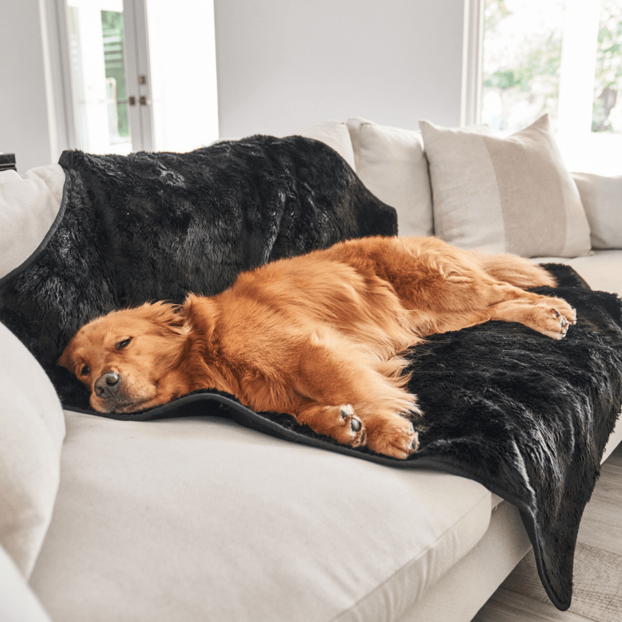 Paw.com x BarkBox PupProtector™ Short Fur Waterproof Throw Blanket - Midnight Black