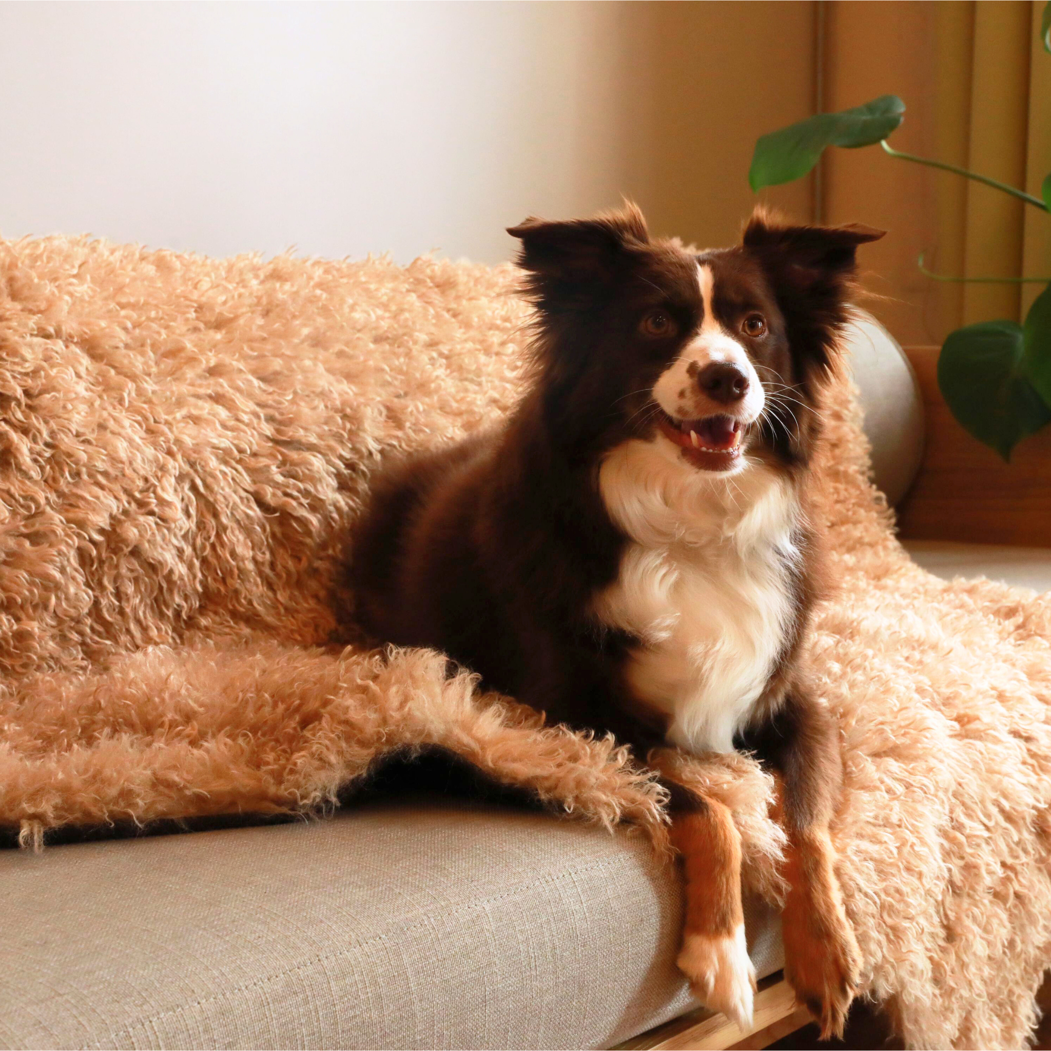 PupProtector™ Luxe Waterproof Faux Fur Blanket - Plush Sheep