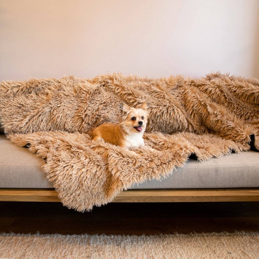 PupProtector™ Luxe Waterproof Faux Fur Blanket - Plush Sheep