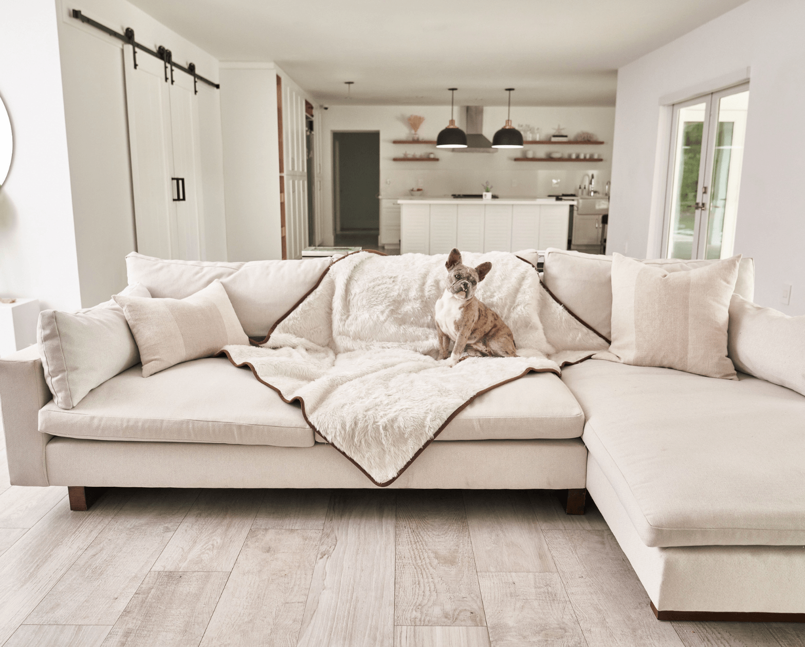 Paw.com x BarkBox PupProtector™ Short Fur Waterproof Throw Blanket - Polar White