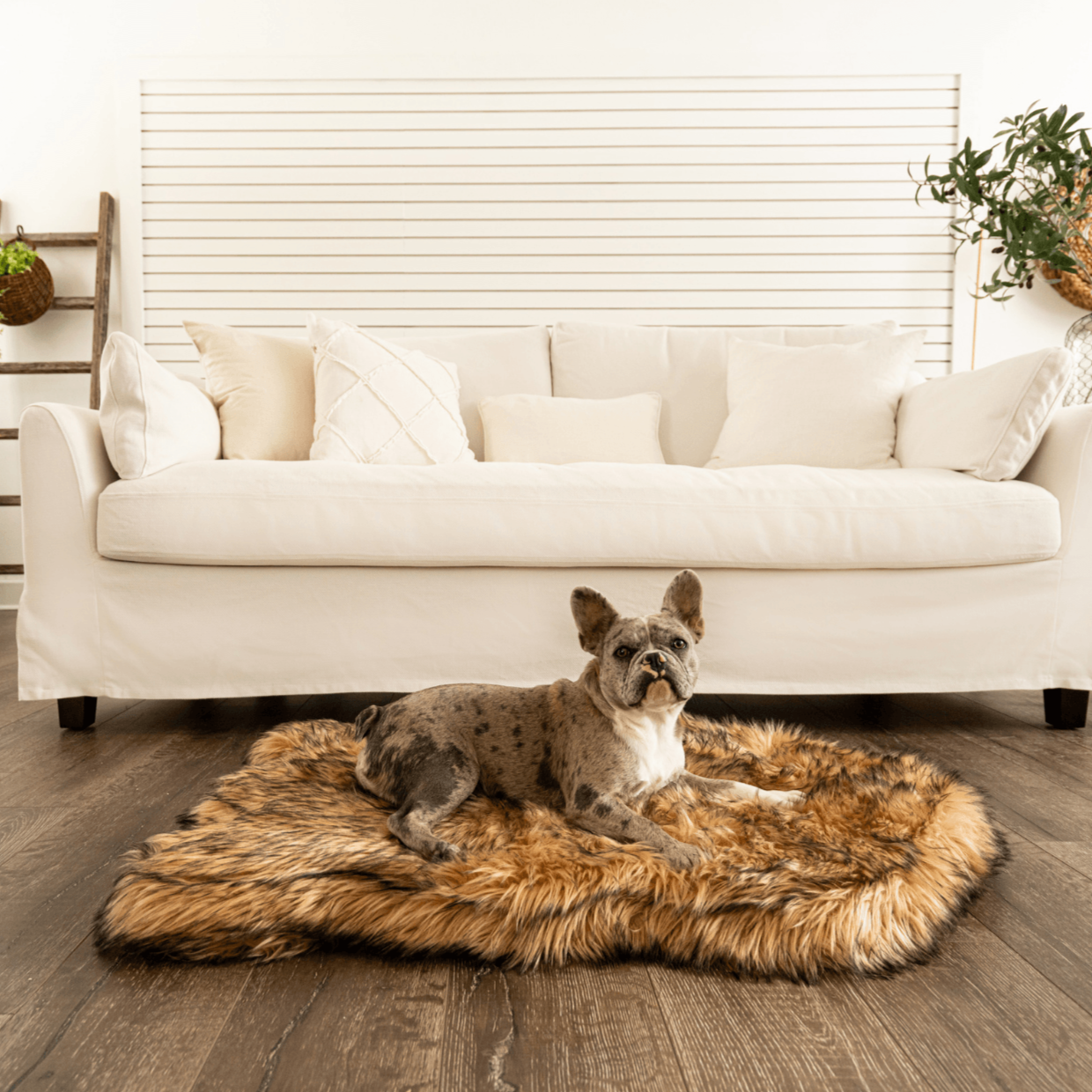 Paw.com x BarkBox PupRug™ Faux Fur Orthopedic Dog Bed - Sable Tan