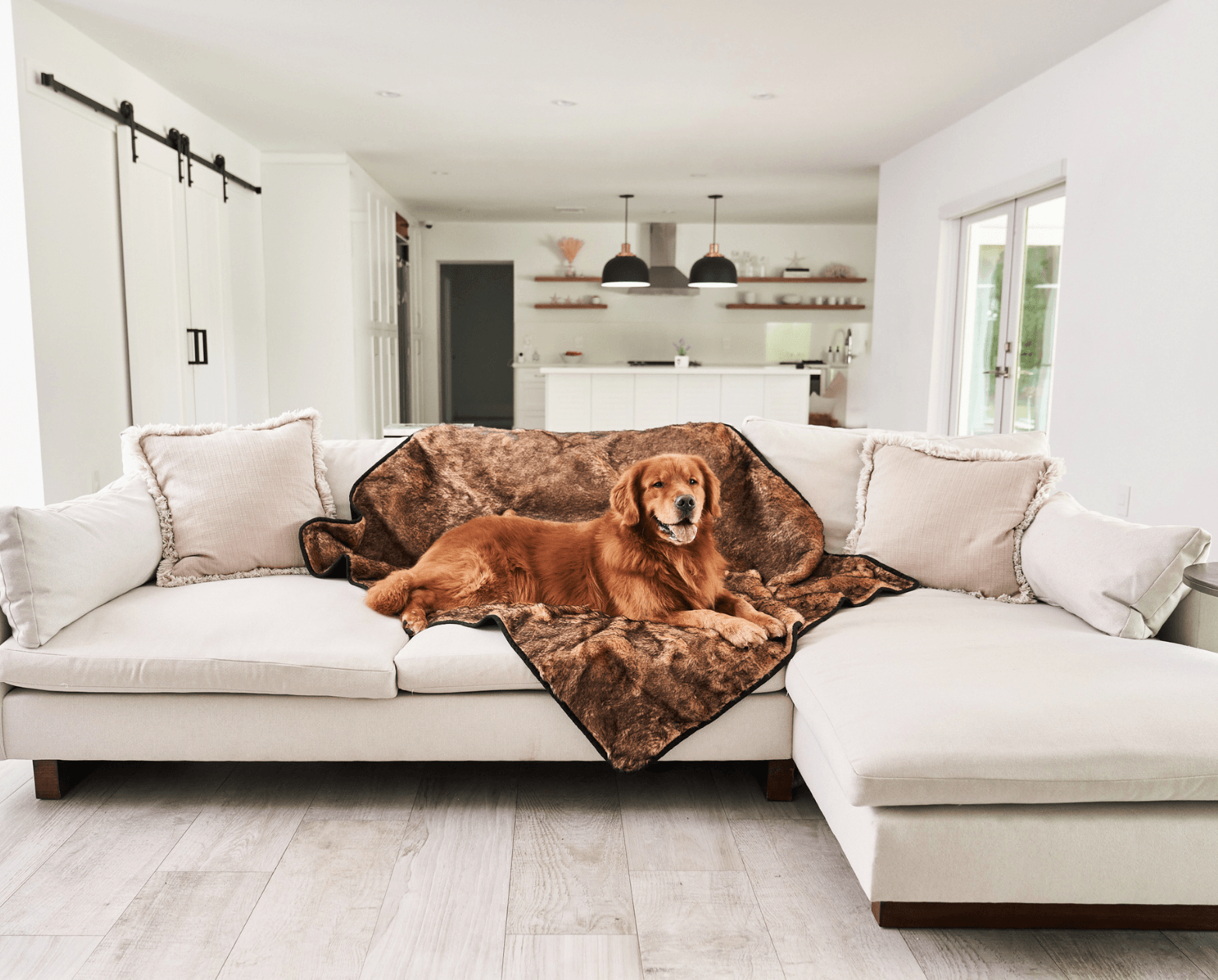 Paw.com x BarkBox PupProtector™ Short Fur Waterproof Throw Blanket - Sable Tan