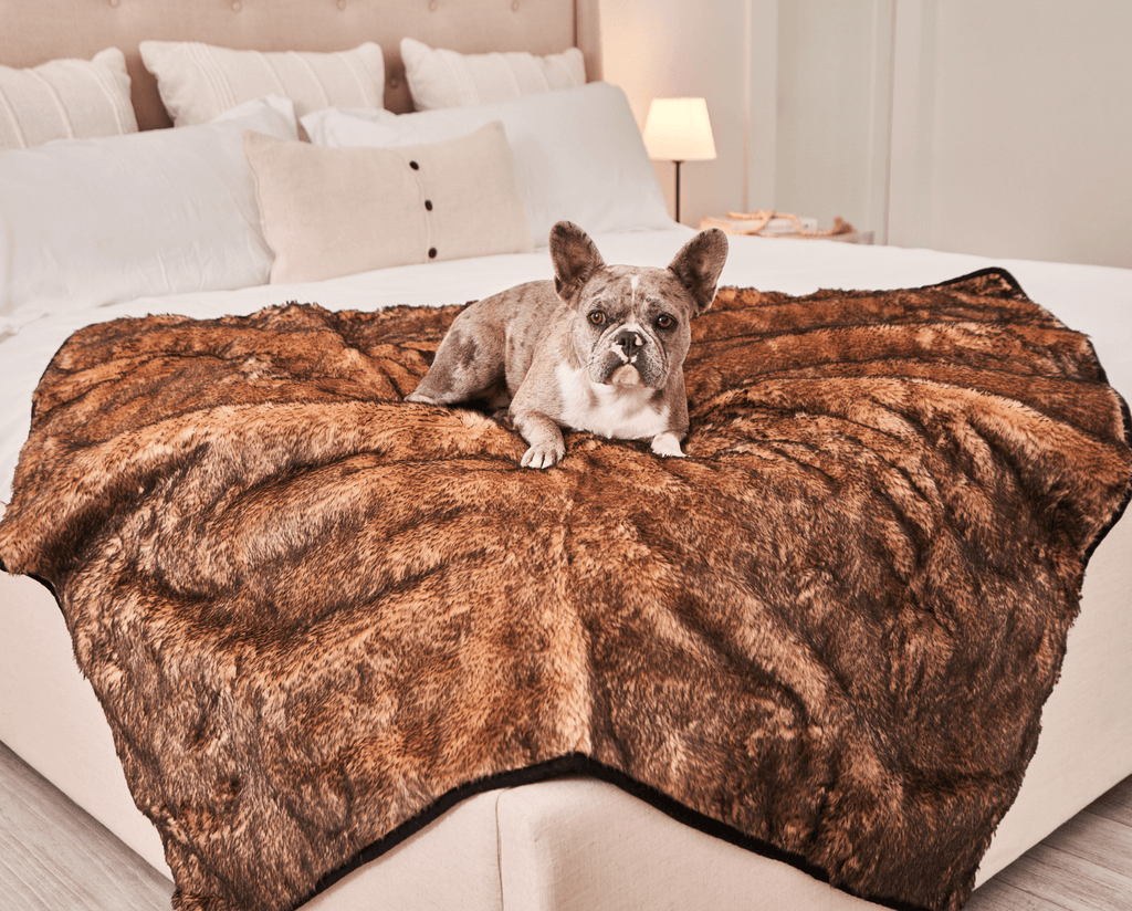 Paw.com x BarkBox PupProtector™ Short Fur Waterproof Throw Blanket - Sable Tan