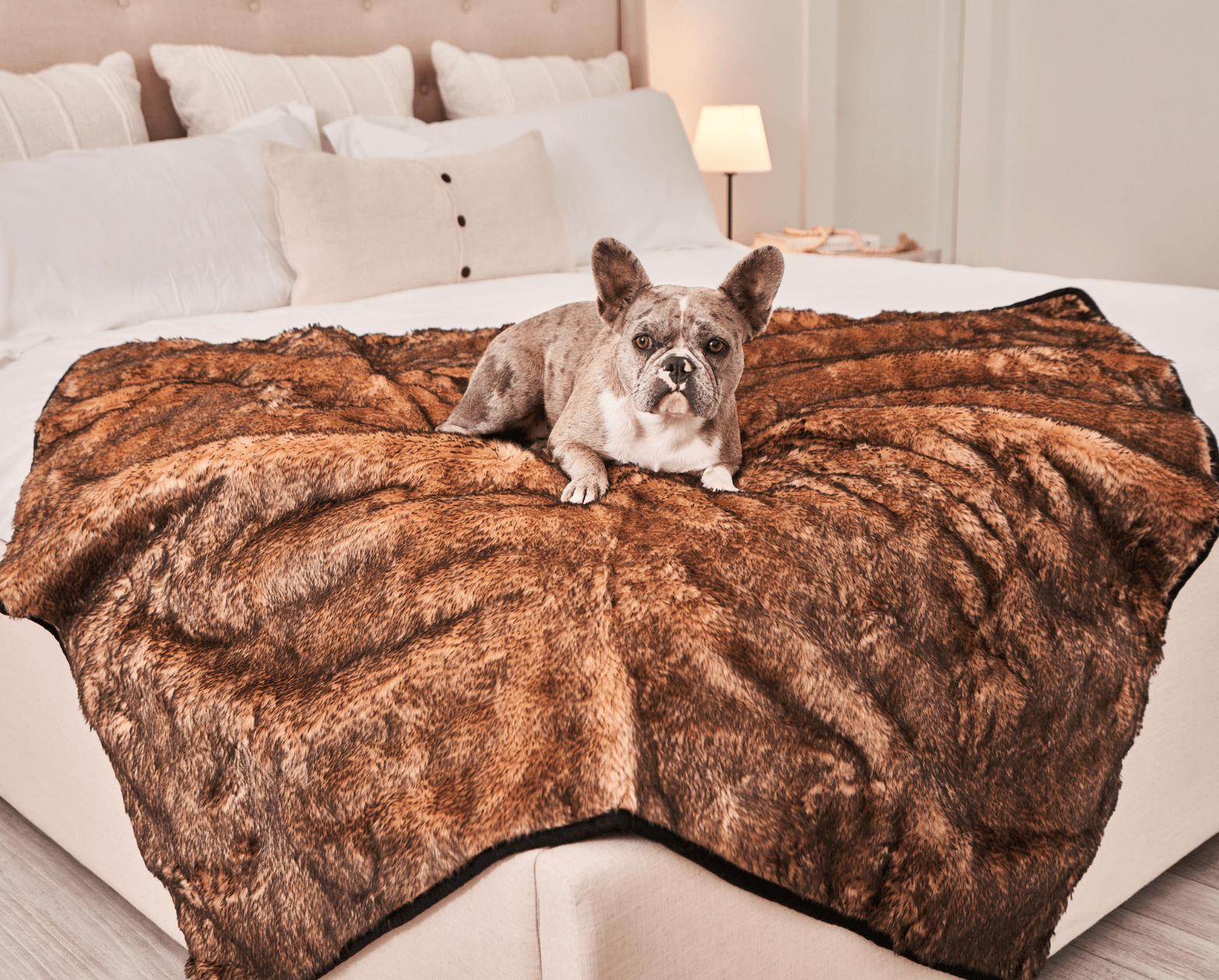 Paw.com x BarkBox PupProtector™ Short Fur Waterproof Throw Blanket - Sable Tan