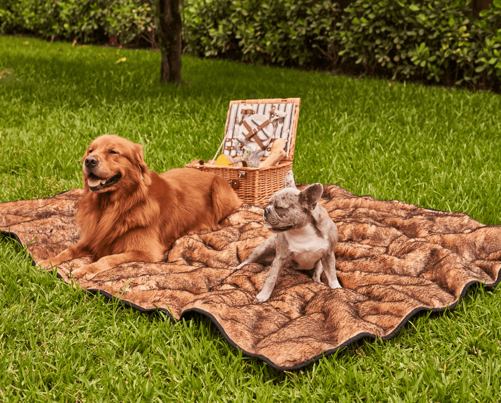 Paw.com x BarkBox PupProtector™ Short Fur Waterproof Throw Blanket - Sable Tan