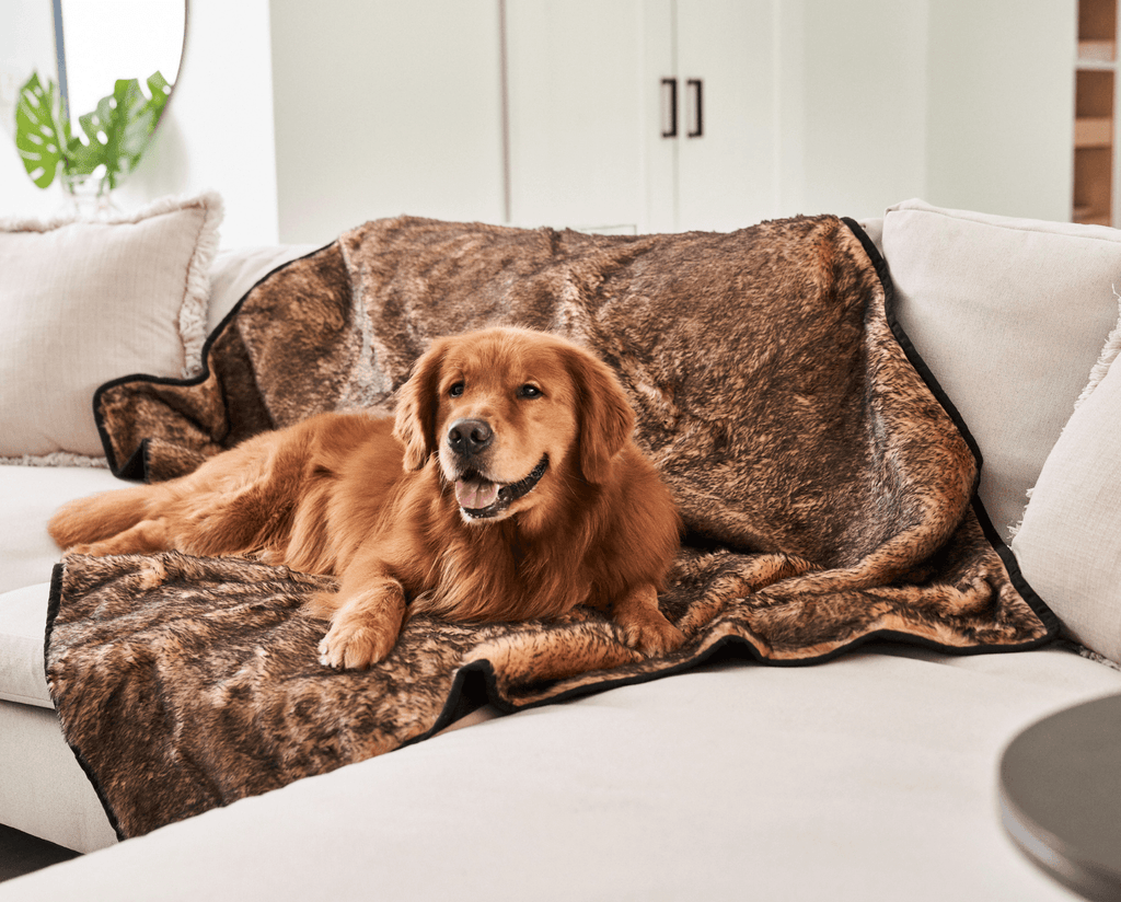 Paw.com x BarkBox PupProtector™ Short Fur Waterproof Throw Blanket - Sable Tan