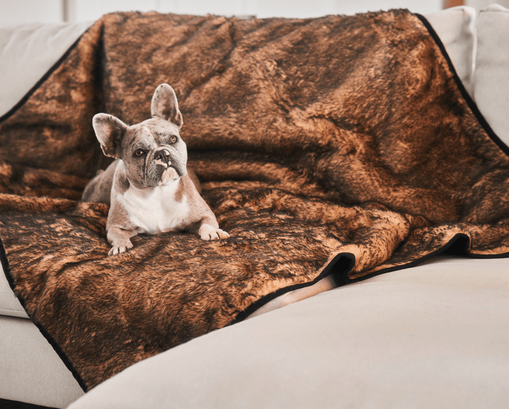 Paw.com x BarkBox PupProtector™ Short Fur Waterproof Throw Blanket - Sable Tan