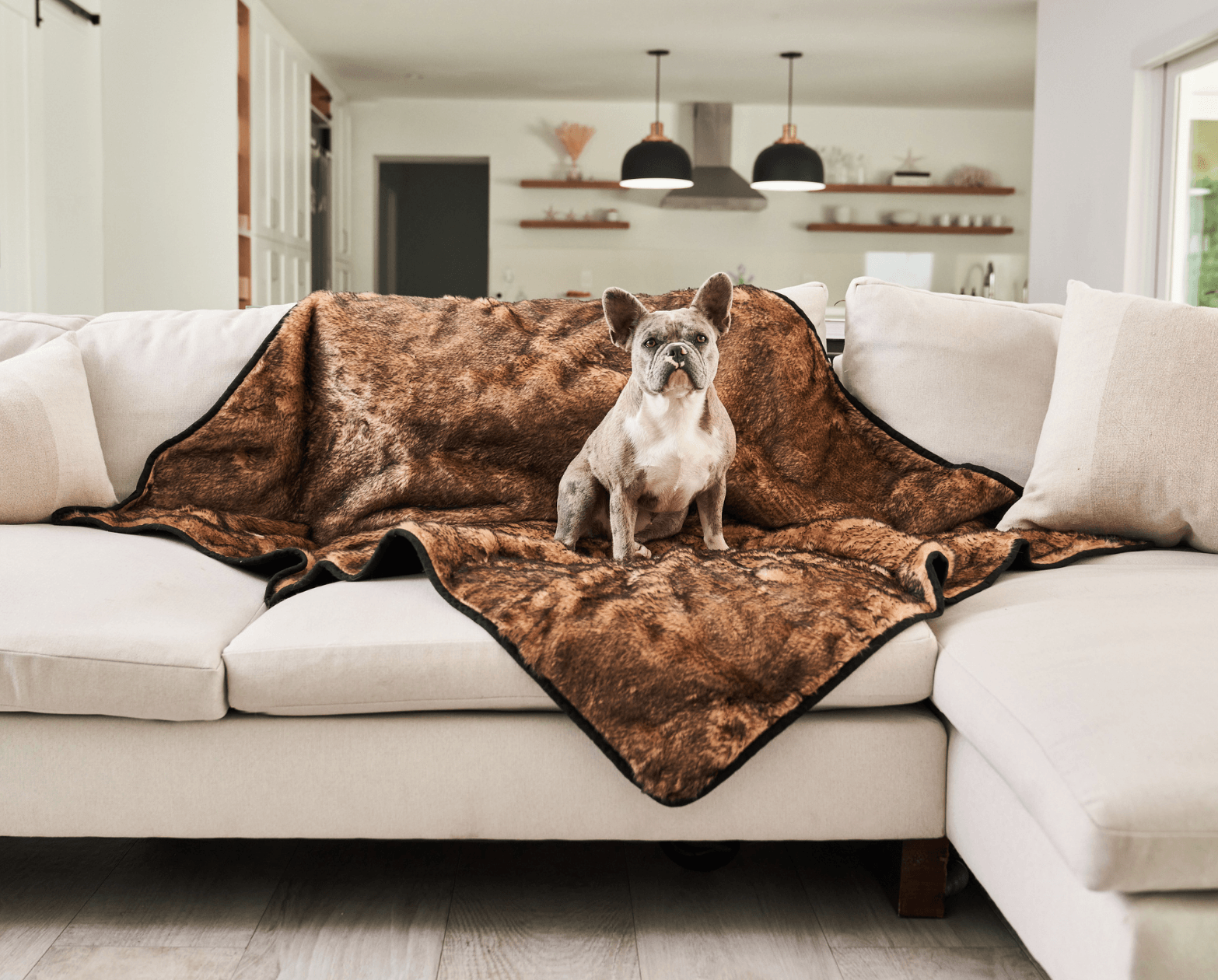 Paw.com x BarkBox PupProtector™ Short Fur Waterproof Throw Blanket - Sable Tan