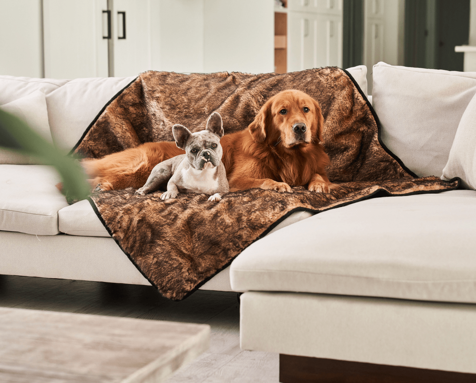 Paw.com x BarkBox PupProtector™ Short Fur Waterproof Throw Blanket - Sable Tan