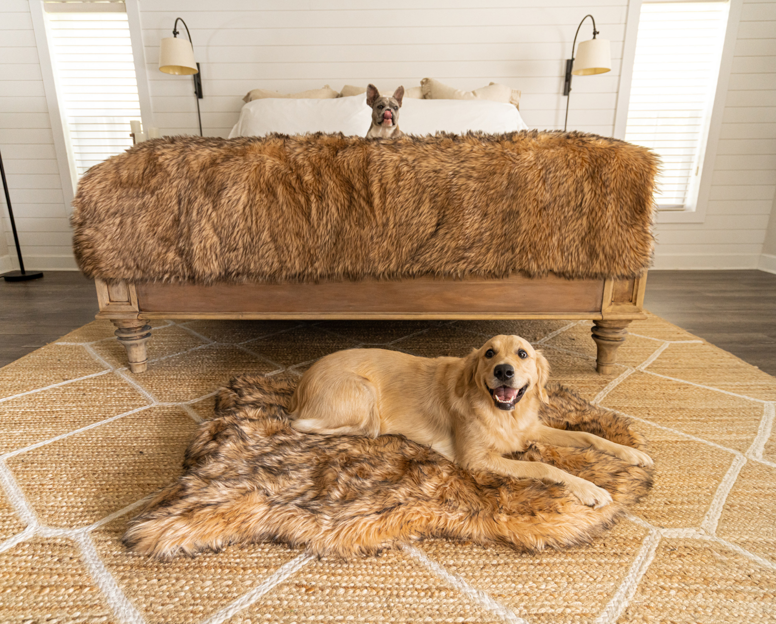 PupRug™ Orthopedic Bed + Matching Waterproof Blanket Bundle- Sable Tan