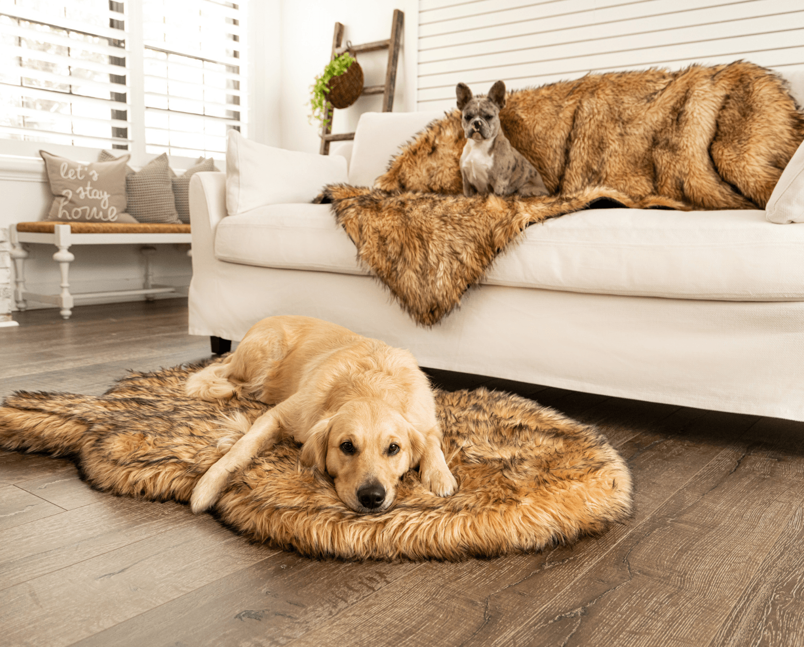PupRug™ Orthopedic Bed + Matching Waterproof Blanket Bundle- Sable Tan