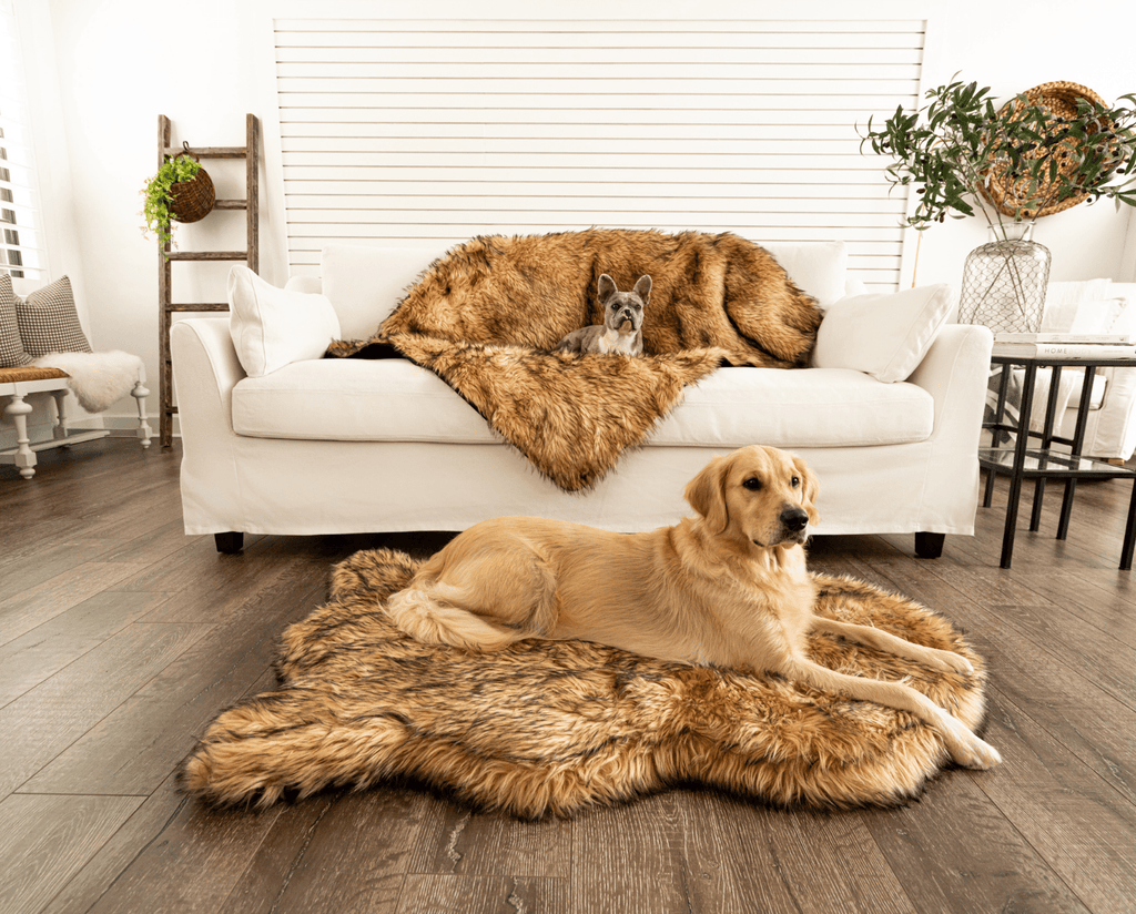 PupRug™ Orthopedic Bed + Matching Waterproof Blanket Bundle- Sable Tan
