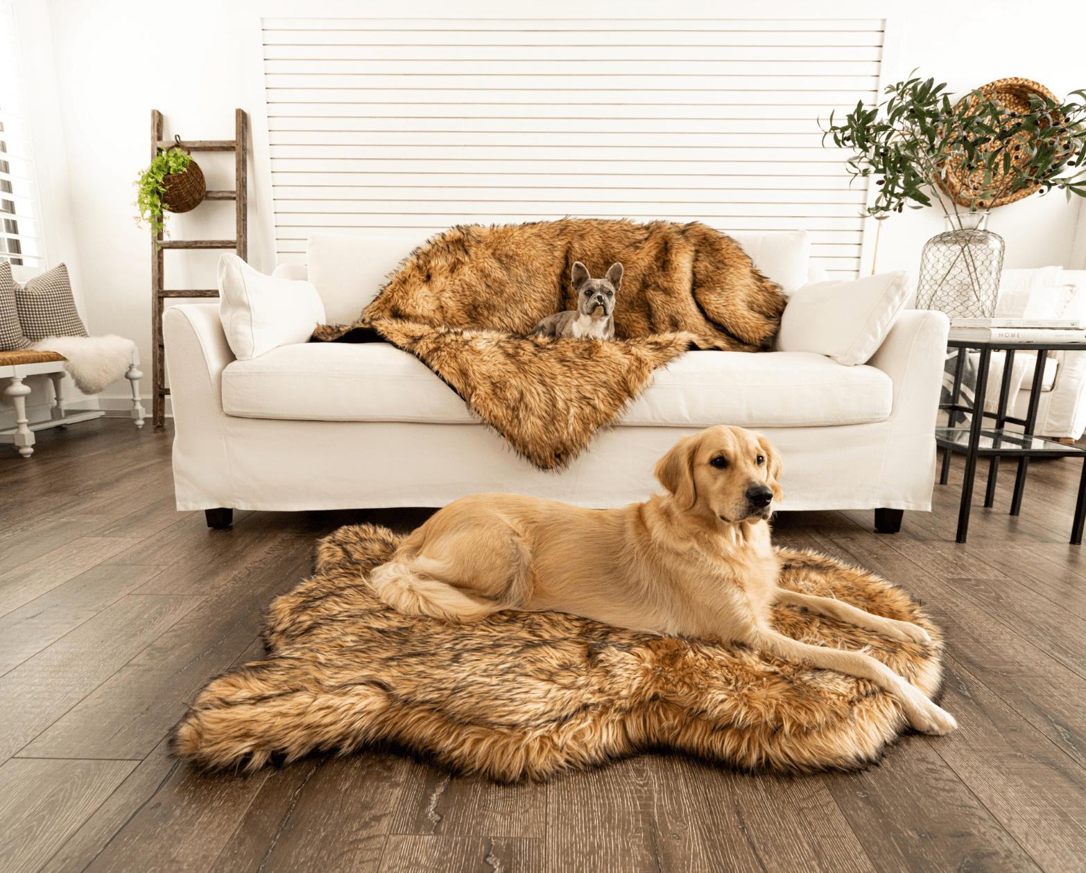 PupRug™ Orthopedic Bed + Matching Waterproof Blanket Bundle- Sable Tan