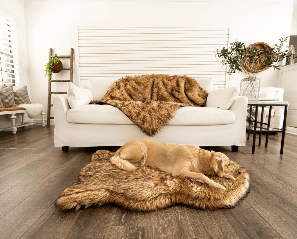 PupRug™ Orthopedic Bed + Matching Waterproof Blanket Bundle- Sable Tan