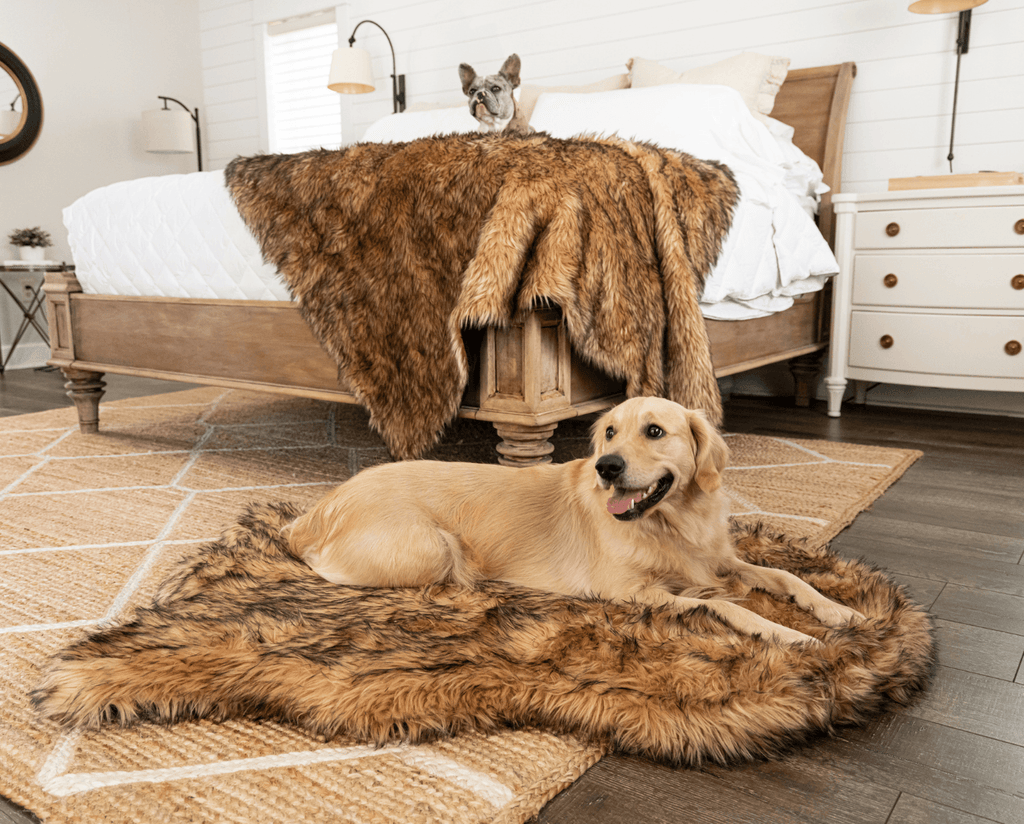 PupRug™ Orthopedic Bed + Matching Waterproof Blanket Bundle- Sable Tan