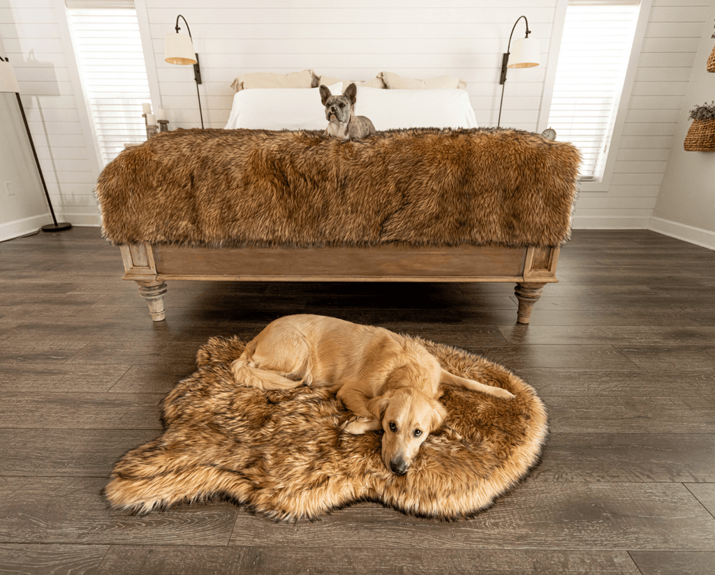 PupRug™ Orthopedic Bed + Matching Waterproof Blanket Bundle- Sable Tan