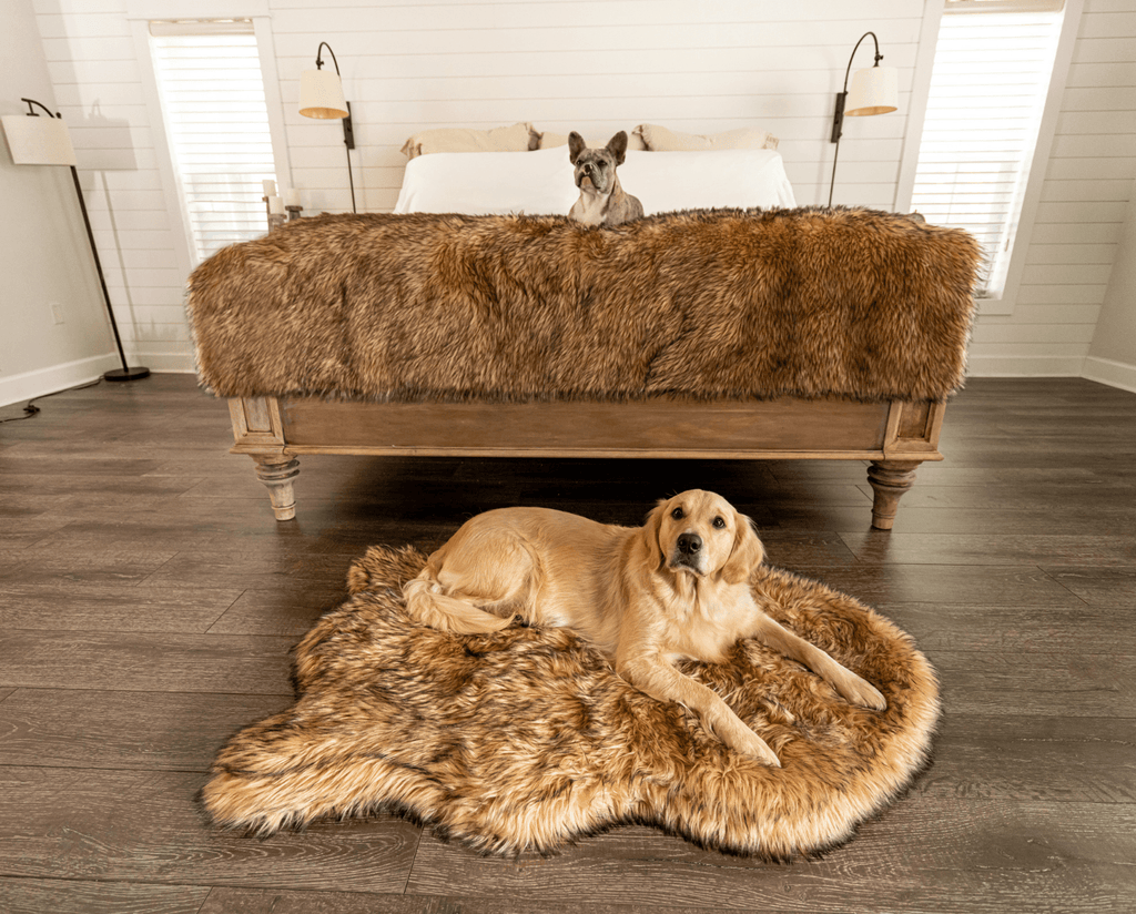 PupRug™ Orthopedic Bed + Matching Waterproof Blanket Bundle- Sable Tan