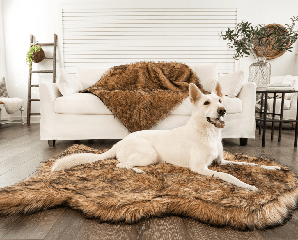PupRug™ Orthopedic Bed + Matching Waterproof Blanket Bundle- Sable Tan
