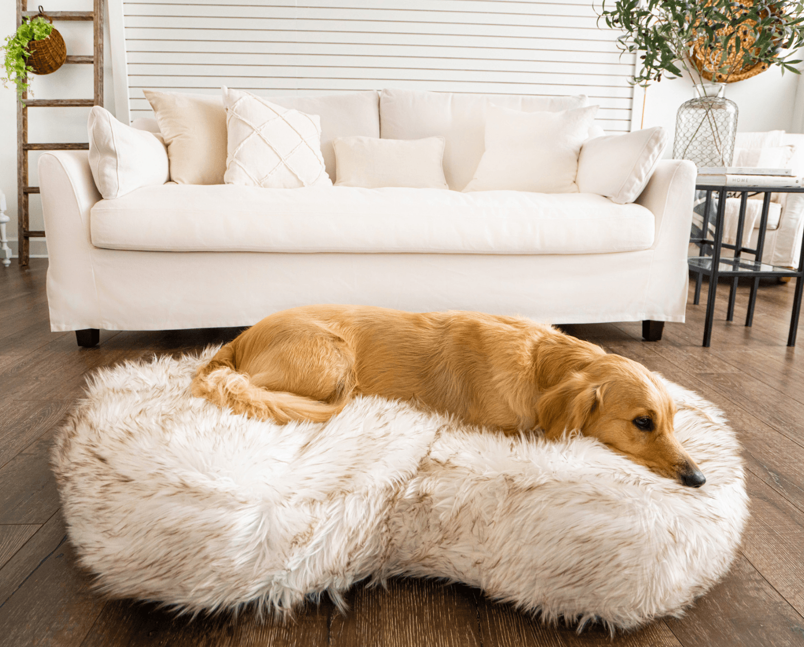 PupCloud™ Faux Fur Memory Foam Dog Bed - Curve White