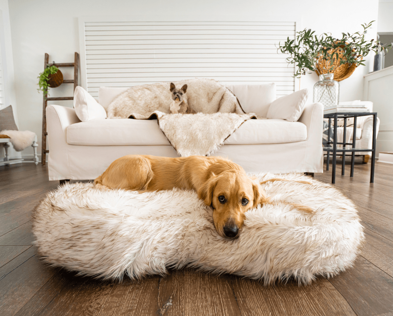 PupCloud™ Memory Foam Bed + Matching Waterproof Blanket Bundle - White with Brown Accents