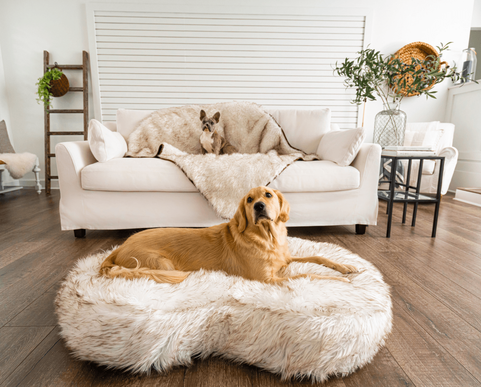 PupCloud™ Memory Foam Bed + Matching Waterproof Blanket Bundle - White with Brown Accents