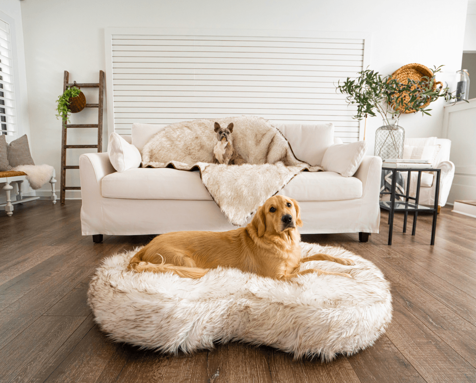 PupCloud™ Memory Foam Bed + Matching Waterproof Blanket Bundle - White with Brown Accents